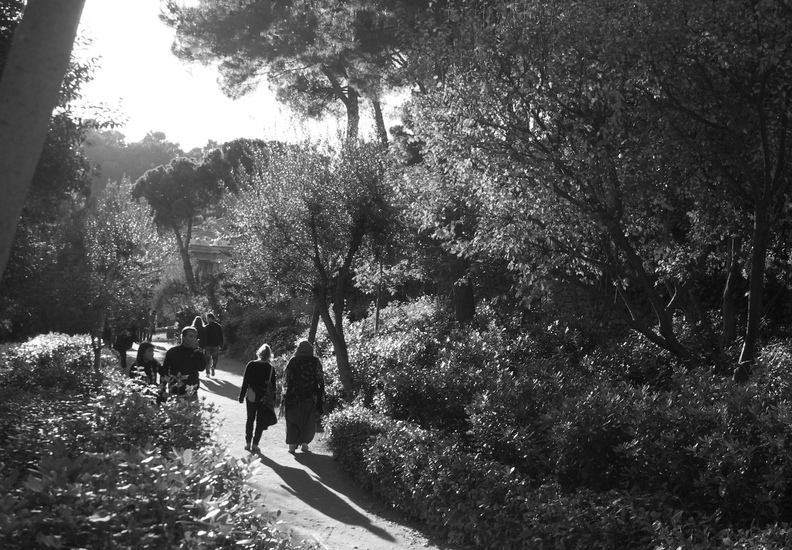 Park Guell