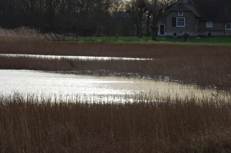 Ackerdijkse plassen