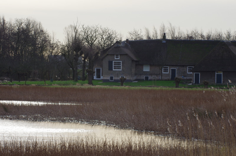 Ackerdijkseplassen