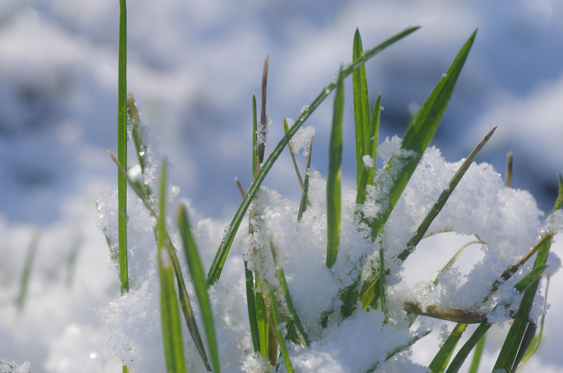 lente in zicht
