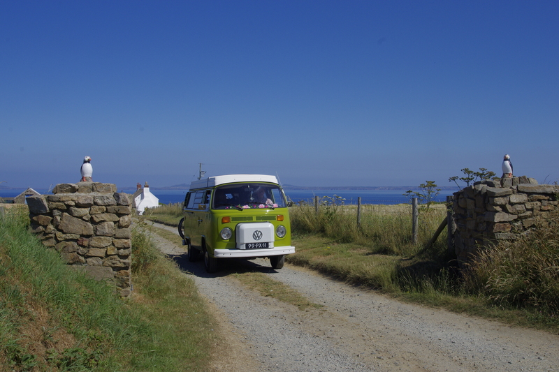 VW T2
