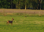 Een grote groep die enorm divers is