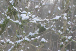 Winter 2013, wrm en koud