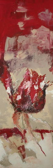 Roos van een onbekende