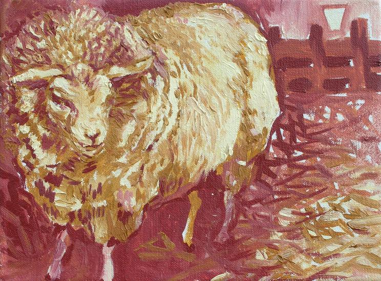 portret van een volwassen schaap