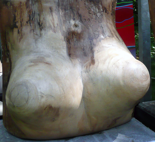 moeder natuur