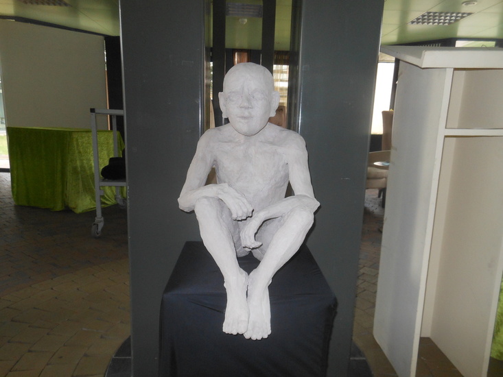 leenvandenabeele@icloud.be