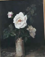 Three white roses