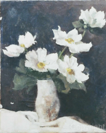 Japanese anemones