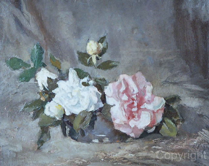 Pink and white roses