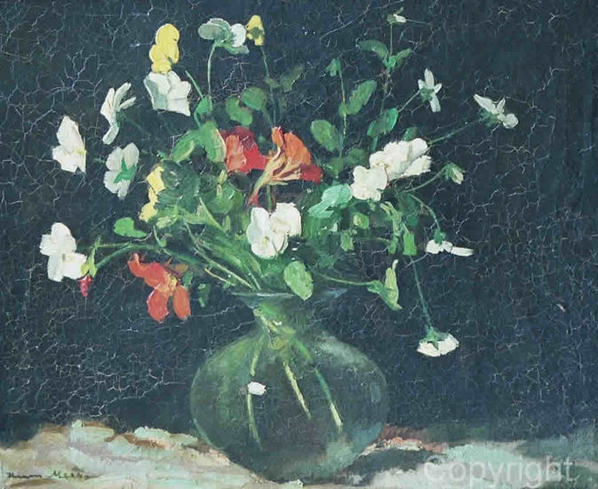 Nasturtium and pansies