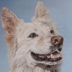 Naast schilderen heb ik een grote passie voor honden.