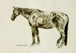 paardentekeningen
