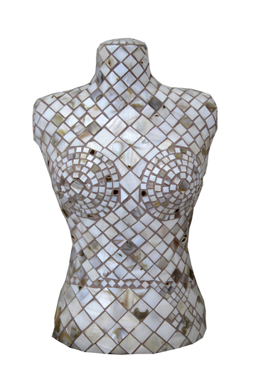 Vrouwen Torso