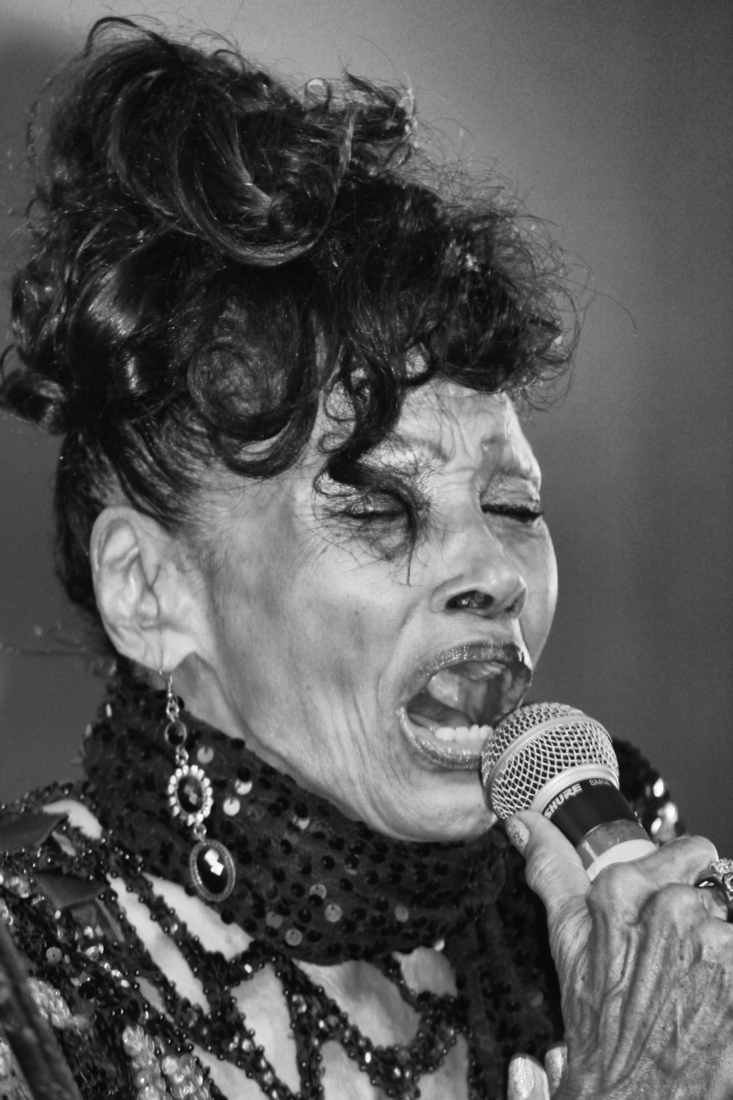 Zangeres van Buona VistaSocial Club