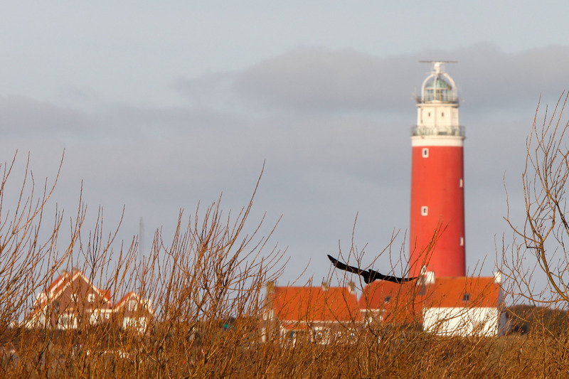 Vuurtoren