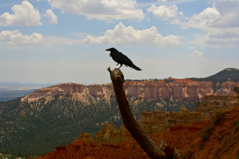 Bryce Canyon