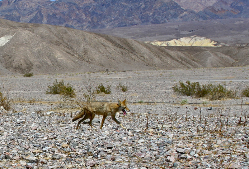 Death Valley