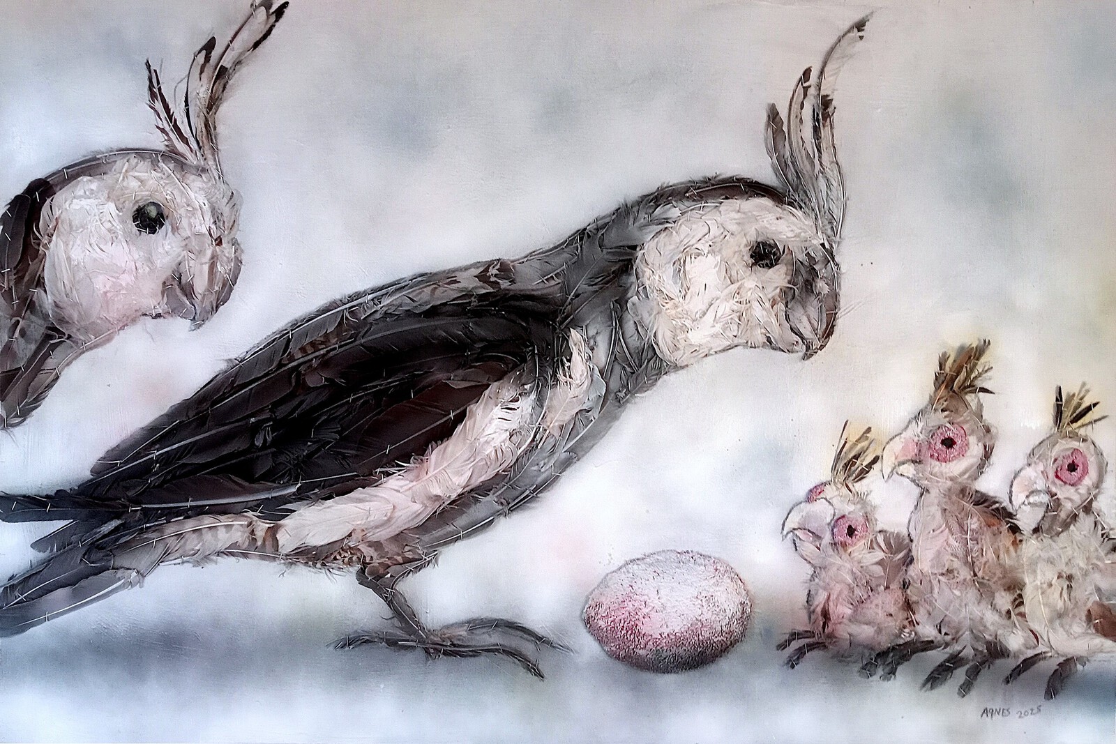 Valkparkieten met kuikens