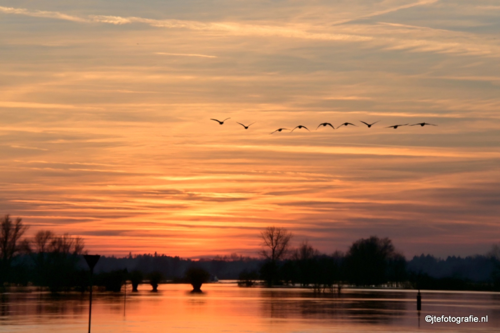 IJssel, hoog water