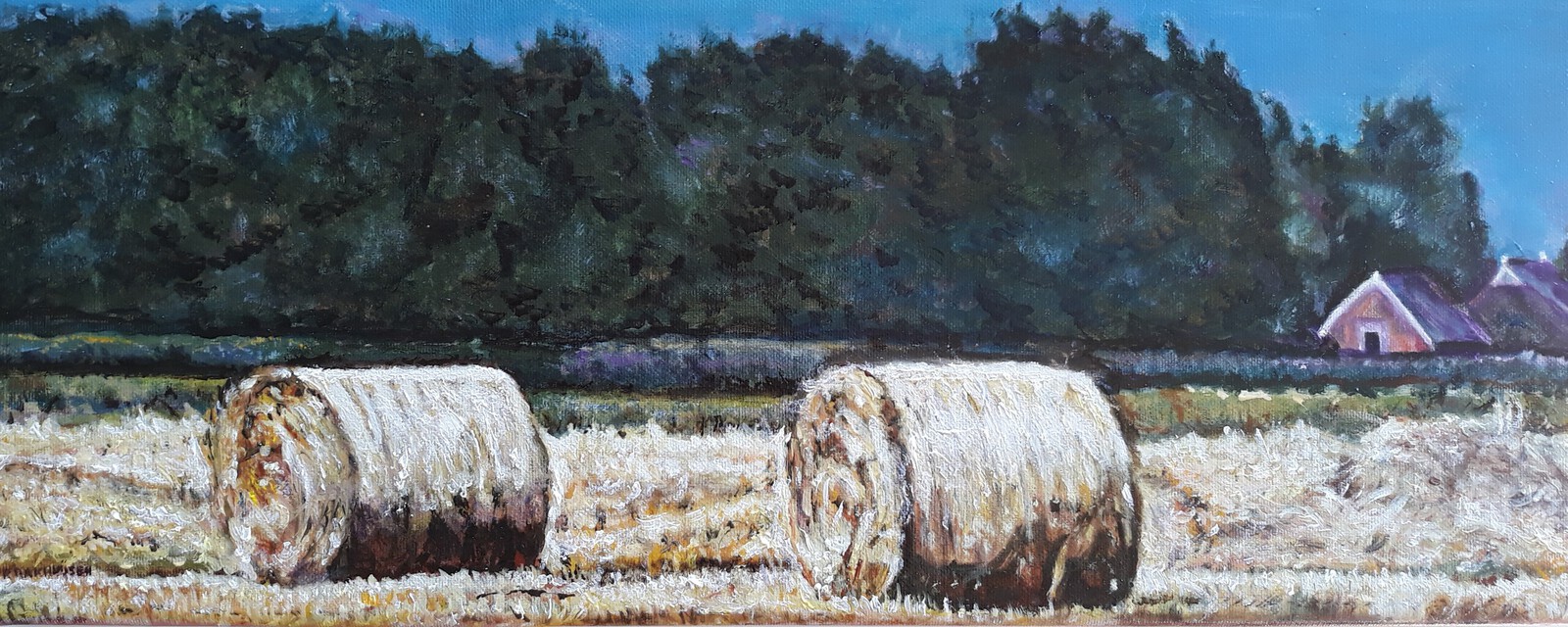 Hooi balen in Fries-landschap 