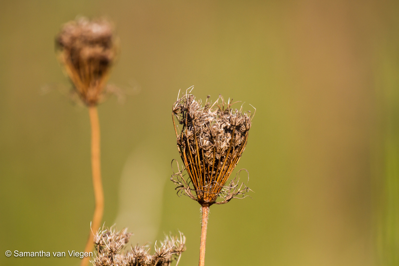 De winter komt eraan