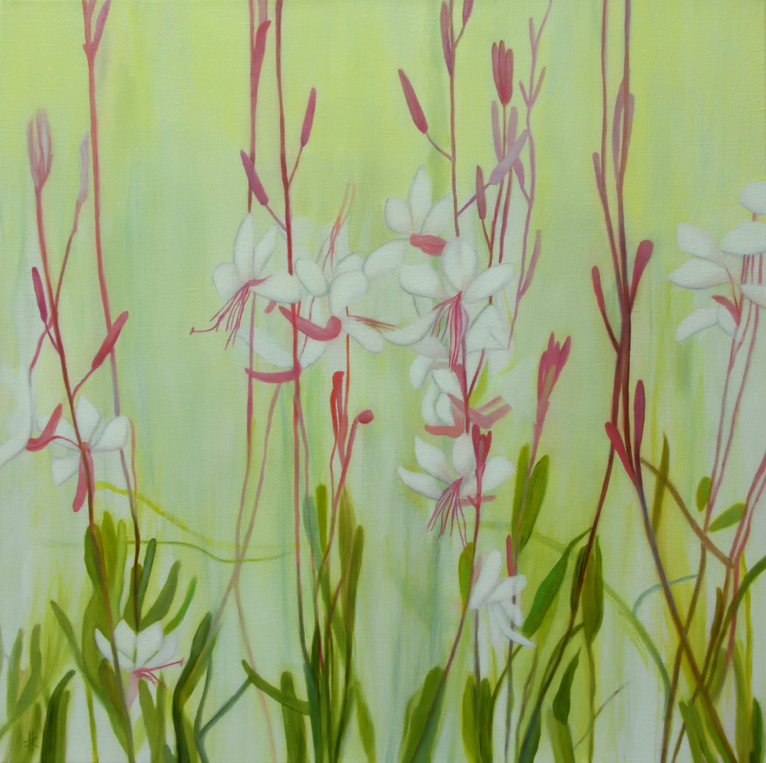 Gaura Beeblossom