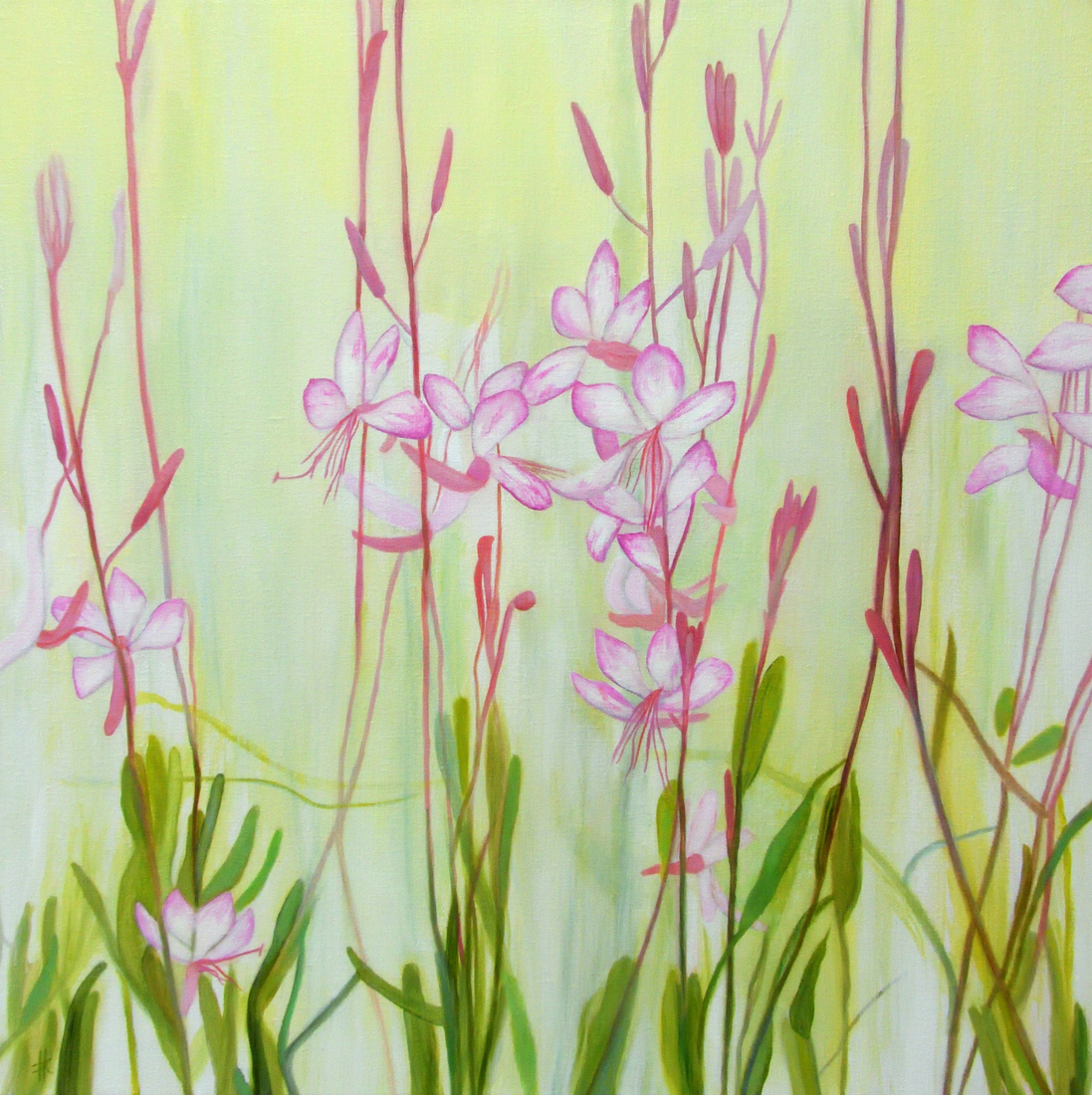 Nature in bloom
