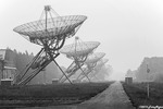 De Westerbork Synthese Radio Telescoop, kortweg WSRT is een uit veertien losse parabolische antennes bestaande radiotelescoop in de bossen nabij Hooghalen in Drenthe. Het terrein waar de antennes opgesteld staan ligt naast het voormalige Kamp Westerbork.