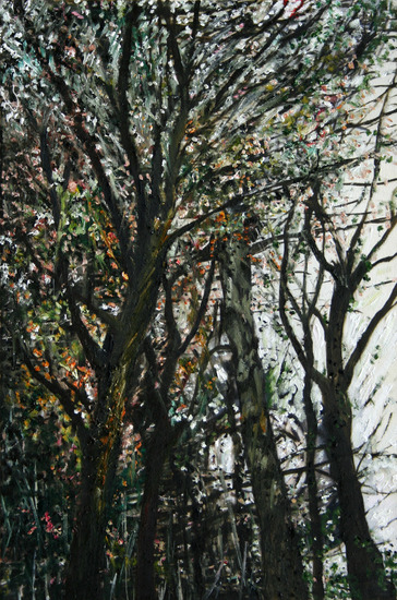 bomen bos-1