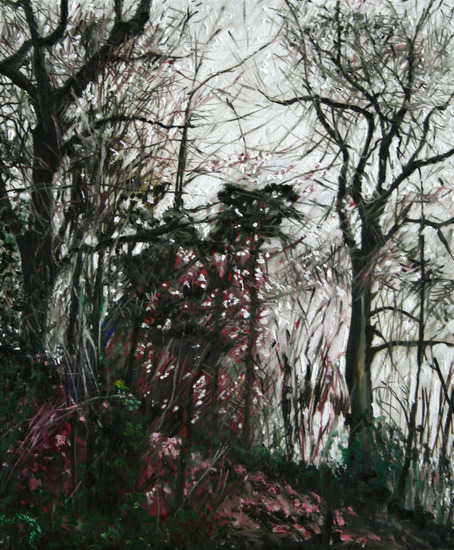 bomen bos-3