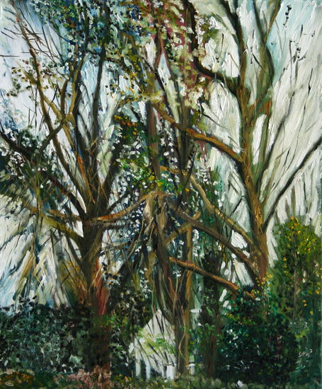 bomen bos-5