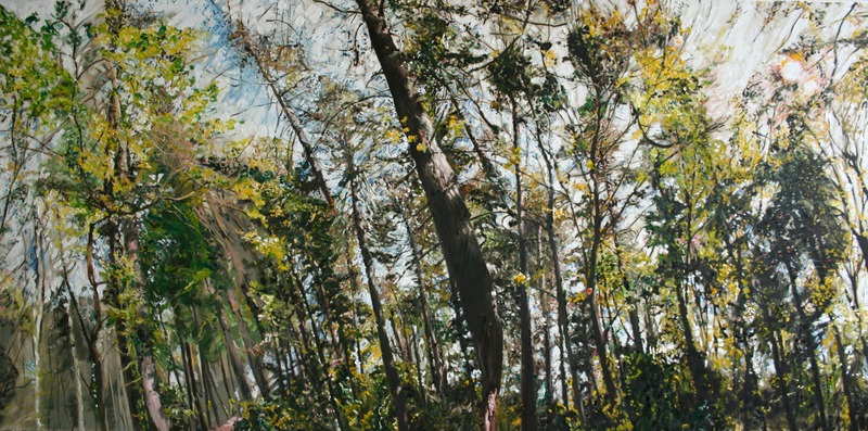 bomen bos koningsduin-3