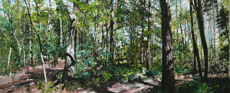 bomen bos koningsduin-5