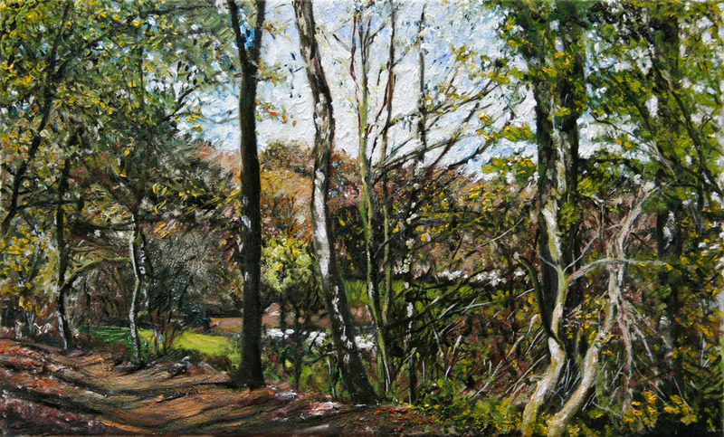 bomen bos beek lente 31