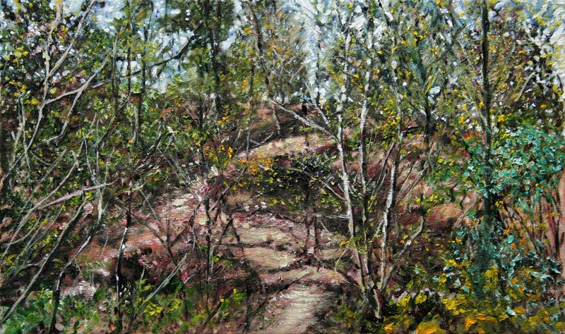 bomen bos beek lente 32