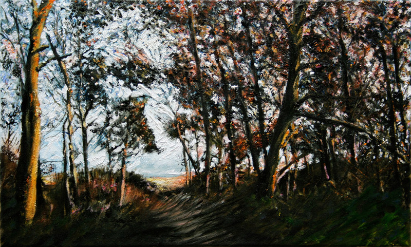 bomen bos beek winter 26