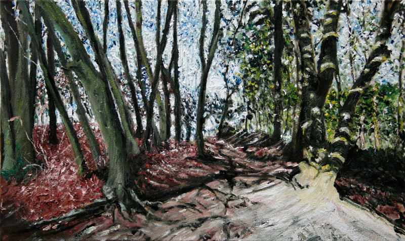 bomen bos beek winter lente 29