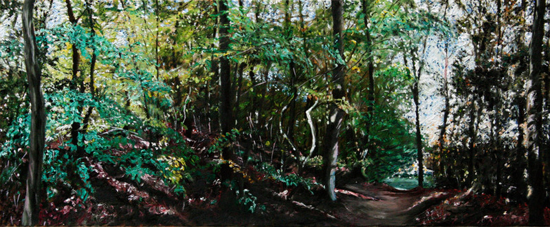 bomen bos beek 8 lente