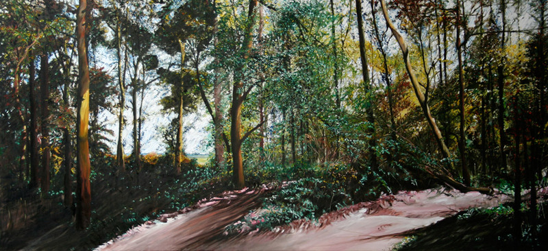 bomen bos beek 9 herfst