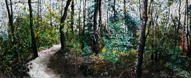 bomen bos beek 10 lente