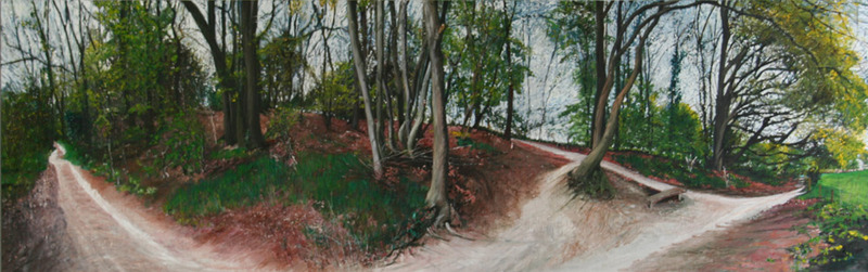 bomen bos beek 11 lente