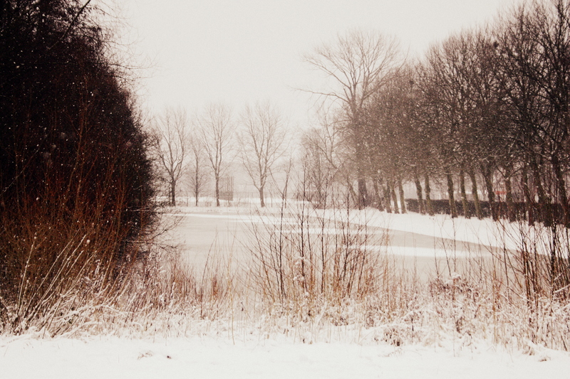 Winter, Oudenbosch