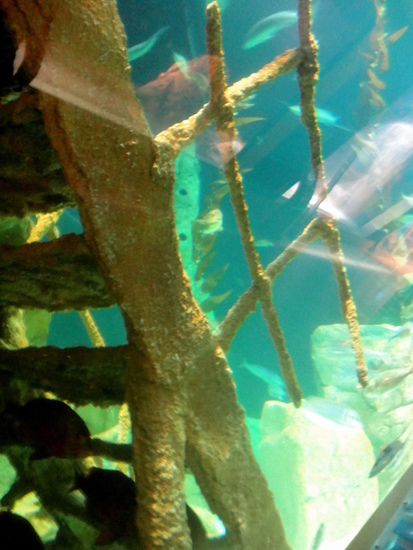 Istanbul Aquarium