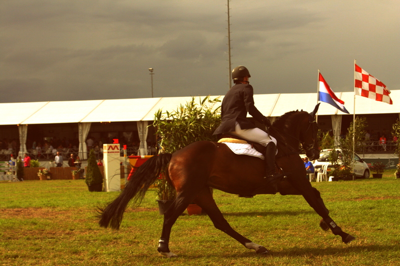 Brabantse Ruiterdagen