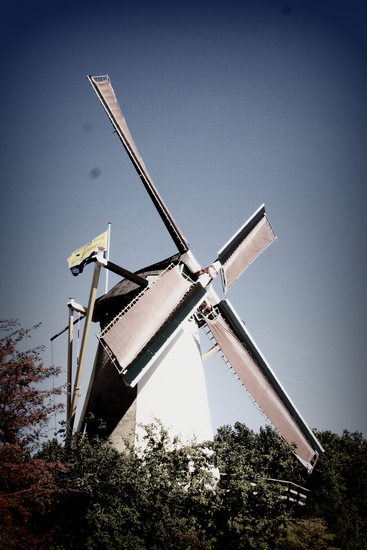 Windmill