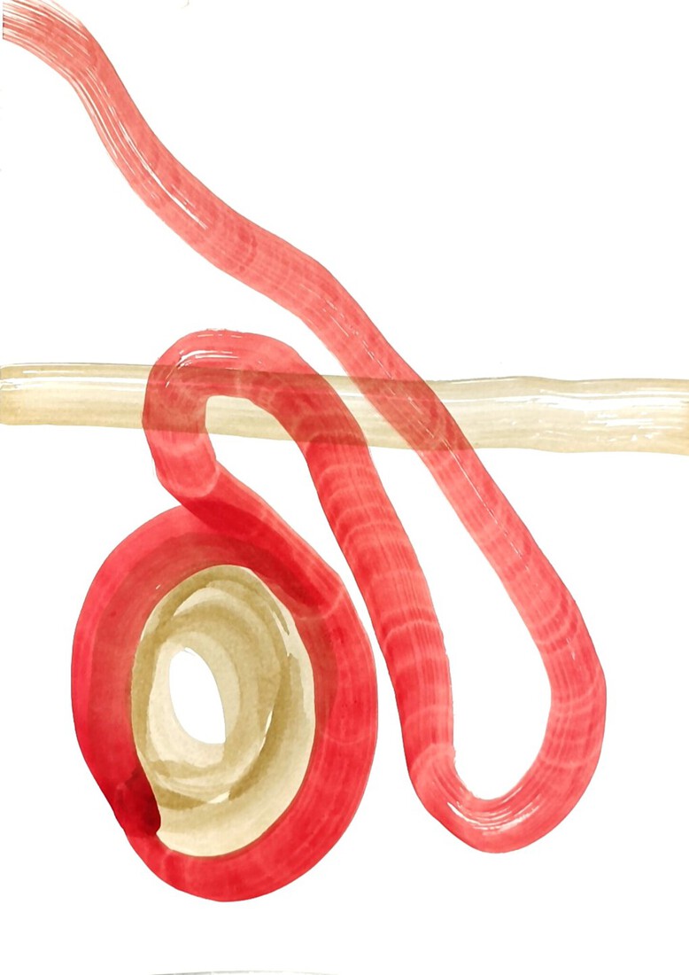 zoeken 2