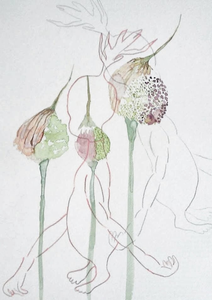 Bij het ware botanisch tekenen is het van belang dat de tekening de werkelijkheid evenaart. Ik ga daar graag een stukje in mee en bestudeer de betreffende bloem tot in detail. Er is ongelooflijk veel te zien als je je een uur concentreert op 1 bloem. Daarna begint het spelen en geef ik mijn vrije invulling. Locatie: Landje van de Boer in Bloemendaal. Begeleiding door illustrator Marijke Apeldoorn.