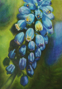 Pencils or pastels on paper. Realistic colourful drawings with as subject mostly nature. 