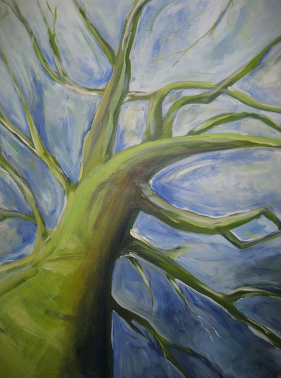 boom_kikkerperspektief